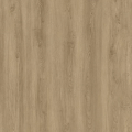 Sand Oak